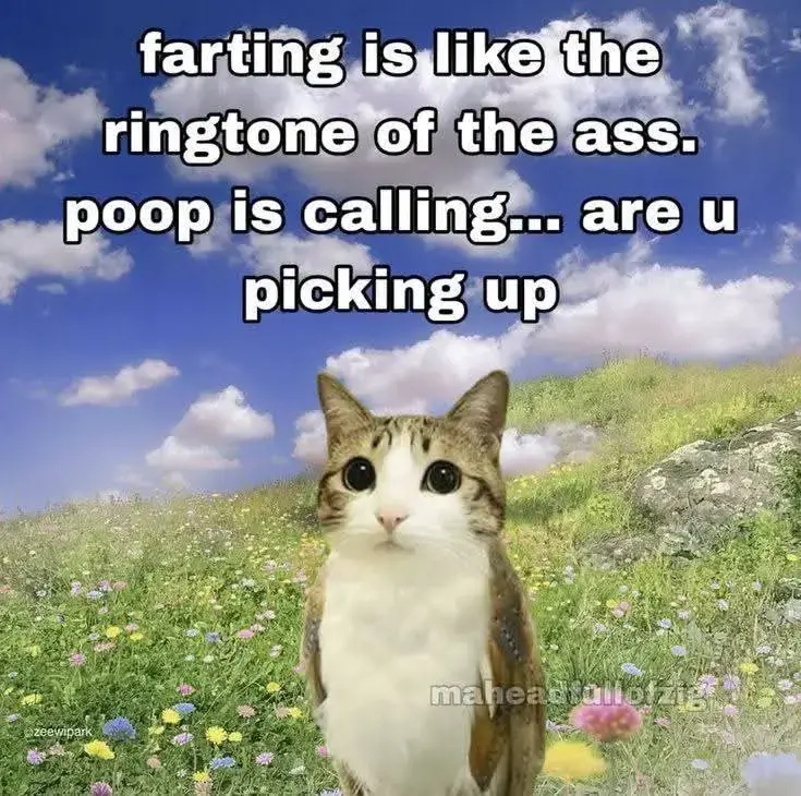 cute cat in a flower meadow, blue sky, white fluffy clouds. text: farting is like the ringtone of the ass. poop is calling... are u picking up