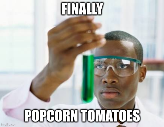 Scientist looking at test tube: Finally - Popcorn tomatoes