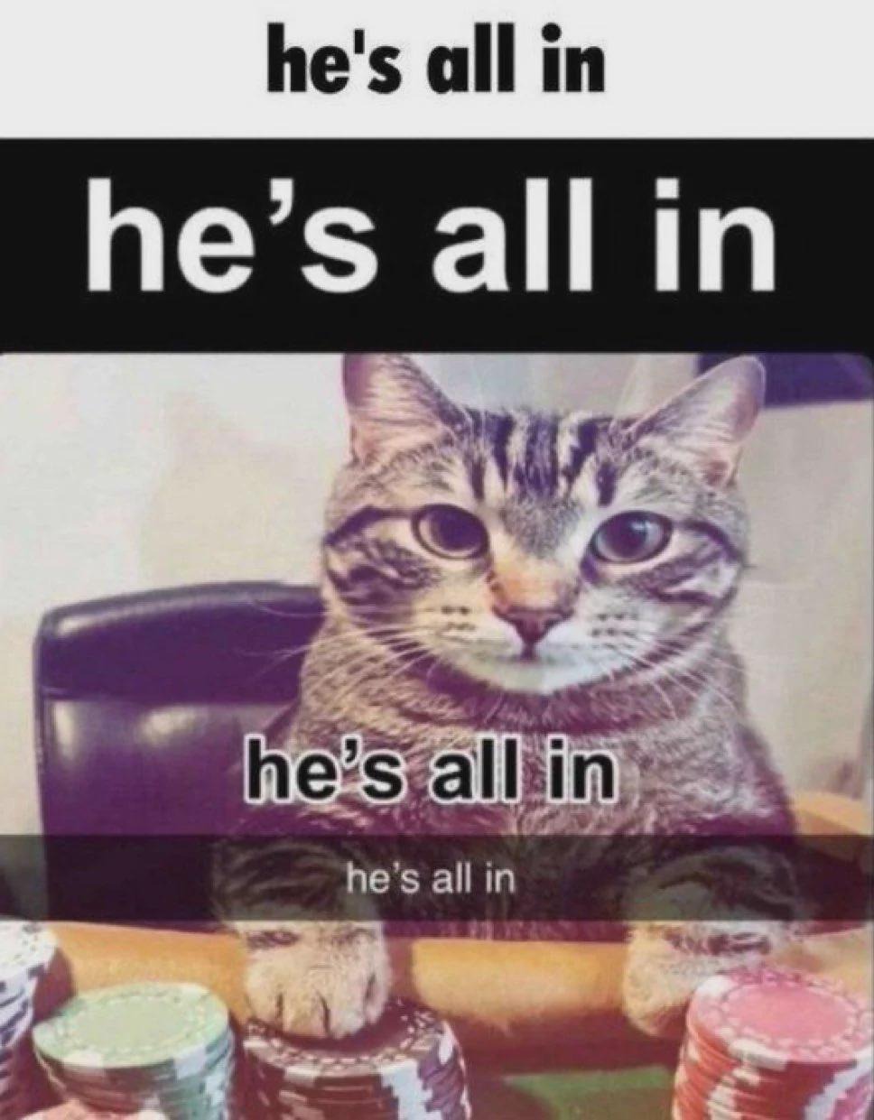 he's all in